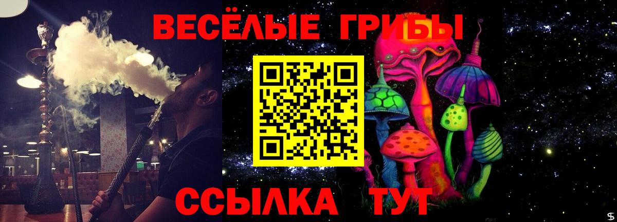 Солнечногорск  Псилоцибиновые грибы MAGIC MUSHROOMS  где можно купить   Галлюциногенные грибы ЛСД  Вход с VPN 